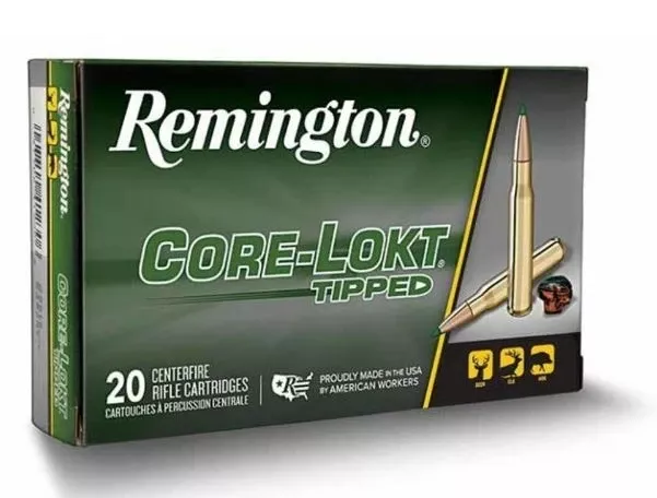 243 WIN REMINGTON 95GR (20/BOX)