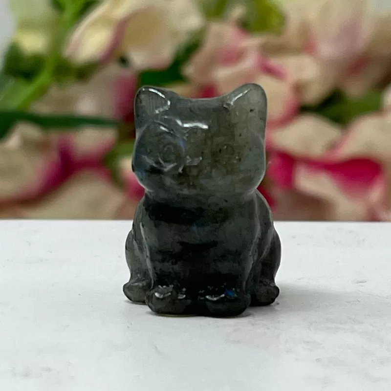 #3 Labradorite Gemstone Kitten March Birthstone