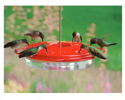 8-3-4-humming-feeder ***8-3/4" Humming Feeder***